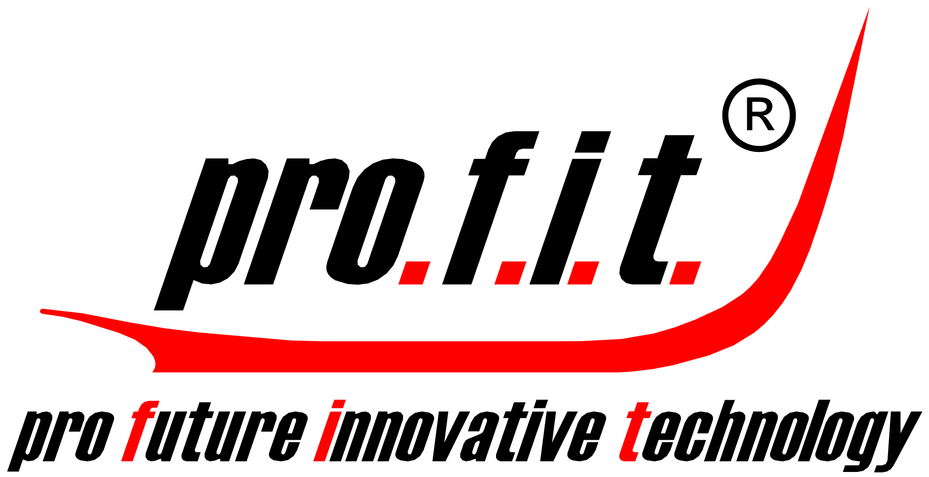 pro.f.i.t. | pro future innovative technology Logo